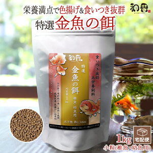 |Cg10{a ̉a I  a  t cp 1Kg ~ ]ˋ 񂿂イ Mы vR RhX  r[Vv Gr _J ɍỉa H~P Fg 