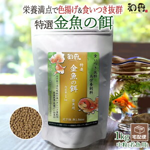 a ̉a I  a  ዛp 1Kg ~ ]ˋ 񂿂イ Mы vR RhX  r[Vv Gr _J ɍỉa H~P Fg ɐB ̗͑ Y 