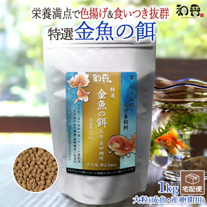 |Cg10{a ̉a I  a 嗱  Yp 1Kg ~ ]ˋ 񂿂イ Mы vR RhX  r[Vv Gr _J ɍỉa H~P Fg