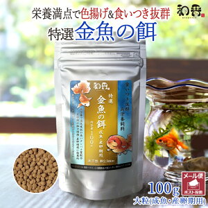 a ̉a I  a 嗱  Yp 100g ~ ]ˋ 񂿂イ Mы vR RhX  r[Vv Gr _J ɍỉa H~P Fg ɐB ̗͑ 