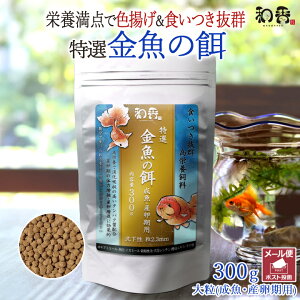 a ̉a I  a 嗱  Yp 300g ~ ]ˋ 񂿂イ Mы vR RhX  r[Vv Gr _J ɍỉa H~P Fg ɐB ̗͑ 