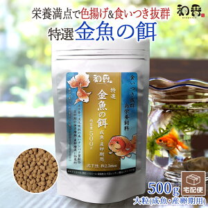 a ̉a I  a 嗱  Yp 500g ~ ]ˋ 񂿂イ Mы vR RhX  r[Vv Gr _J ɍỉa H~P Fg ɐB ̗͑ 