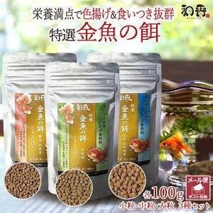 |Cg10{a ̉a I  a 3Zbg e100g ~ ]ˋ 񂿂イ Mы vR RhX  r[Vv Gr _J ɍỉa ς H~P 
