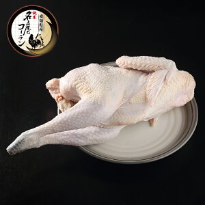 y1100Hz n ÉR[`  ی{  1.3kg` 1H Y  n{ {   ۏĂ Č{ Q{ TQ^ _b`I[u BBQ NX}X `L  ?  o