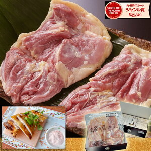 n ÉR[`  1kg VN  Y  n{ {  ① `h Ⓚ { Ă Ɩp e  ۑ ^pbN  ~    󃌃Xg