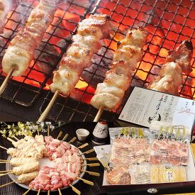 ＼ お中元 ハム 早割 ギフト 御中元 ／ 純系 名古屋コーチン 焼き鳥 ご堪能 セット 25本入り やきとり たれ 塩 もも むね つくね 皮串 冷凍 100%国産 高級 地鶏 鶏肉 食べ物 BBQ 熨斗 手提げ紙袋 結婚 出産 内祝い お祝い 御祝 お礼 御礼 お取り寄せ グルメ