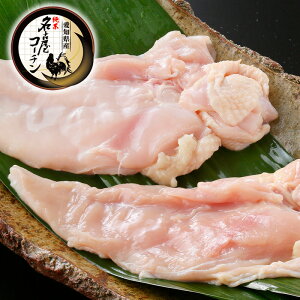 n ÉR[` l 500g ①  Y  n{  { {ނ˓ ^pbN Ă 炠 Ɩp e 