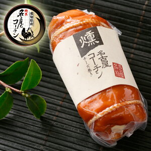 yނ˃[ `[Yz n Mtg { Y n{ Hו 肪Ƃ  蕨 40 50 yY j j   Ԃ a hV̓ Ε