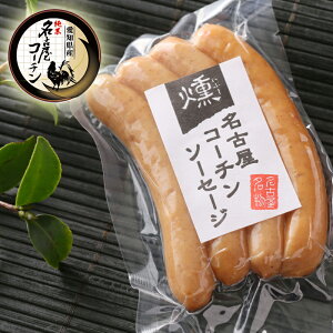 y\[Z[W 4{z n Mtg { Y n{ Hו 肪Ƃ  蕨 40 50 yY j j   Ԃ a Ε hV̓