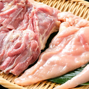 n ÉR[`  n[tZbg ( 1 / l1 / TT~1{ ) e1 2`3lp ①  { Y  n{ {ނ˓ Mtg j Ԃ ᎉ ^pN