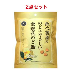 ~S Ԃ̂ǈ 70g×2