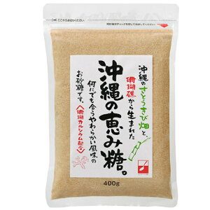 O䐻 ̌bݓ400g×1
