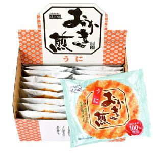 󂠂 ەF ׂ ɂ 16×1(ܖF2026N117j