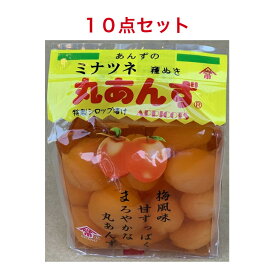 ミナツネ 種ぬき丸あんず 500g×10個