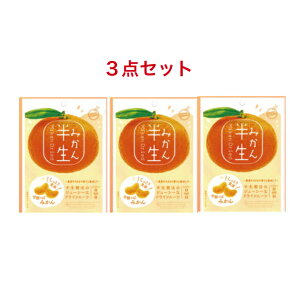 ドウシシャ しっとり食感 ドライフルーツ 半生フルーツ みかん 75g ×3袋
