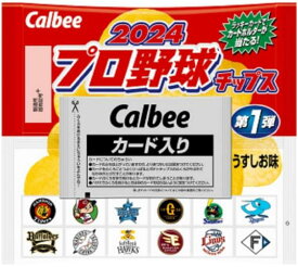 カルビー 2024 プロ野球チップス 22g×24個×2箱