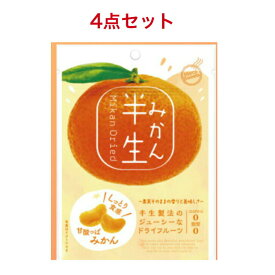 ドウシシャ しっとり食感 ドライフルーツ 半生フルーツ みかん 75g ×4袋