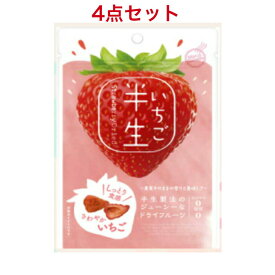 ドウシシャ ドライフルーツ 半生いちご×4袋（賞味期限：2026年3月25日）