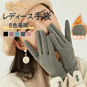  fB[X X}zΉ [X ^[g H~  ItBX JWA ꂢ g h i l C[h _炩  n Vv  ꂢ ʋ ʊw AEghA 