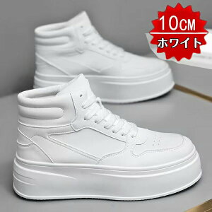 V[Y Xj[J[ gAbv  Ȃ Y V[Nbg YV[Y ؍ JWA グ nCJbg gup Ռz グ U[ 傫TCY H~ ʋ ʊwg