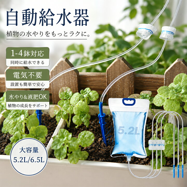 楽天市場】自動水やり 自動給水器 長期留守 旅行中の水やり 水量調節 