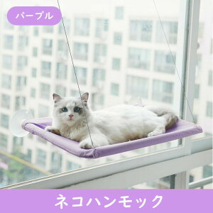 [ lRnbN L nbN EBhExbh ybgxbh ybgObY zՃ^Cv L nbN  xbh L͂p lR nbN Lbg bN ڂ l