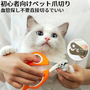 ybgpܐ؂ Lܐ؂  ܐ؂ ߂LplCg}[ ̒ܐ؂ ȒP S҂ɂȒP ^ RpNg ^т₷ XeX lCPA ܐ؂ L ^ 