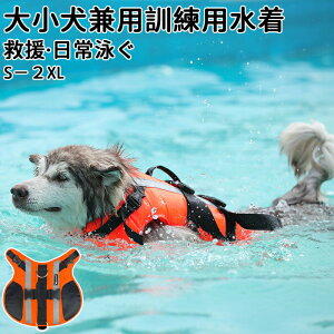  CtWPbg p hbO ybg S S  ^ ^ ^ S M L XL2XL V v[ C V ~ ybgg[i[K~