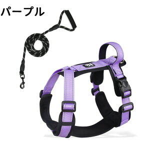  lRn[lX Lp^ ^ ^  EȂ bN   nh ybg U ⏕ ́[˂ qL Lp L [h lRlR Ck `ʋC yʉ