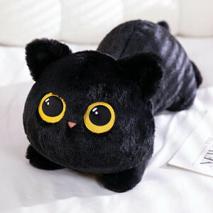 ʂ ˂ L L̕ 傫 킢   ӂӂ  ܂ Aj}Y a LO 蕨 v[g Mtg ubN O[ 50cm 70cm 90cm