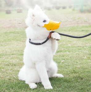   ʖih~ObY /݂h~   ObY ݂h~ ʖi ObY ΍ EH Aq 킢 Ђ p ^p ybgpi pi ^ 