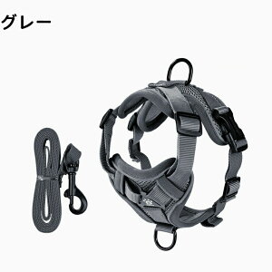  lRn[lX Lp^  EȂ bN   nh ybg U ⏕ ́[˂ qL Lp L [h lRlR Ck `ʋC yʉ