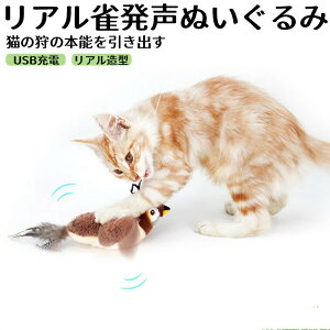 LE   oʂ ybgߋ XgXU ybgʂ  ӂӂ V  _炩  ybgLʗpuAȐ