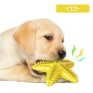 ނ ybgp uV S o ̃N[jO L\h Η\h XgX ^s VRS v  qgf