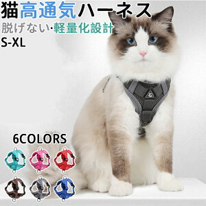 ybgn[lX Ln[lX n[lX Ȃ  [hbVLn[lX ^ Lp lR Lbg ˂ 킢 o  U Oo ʉ@ ЊQ  Ȃ ybg  