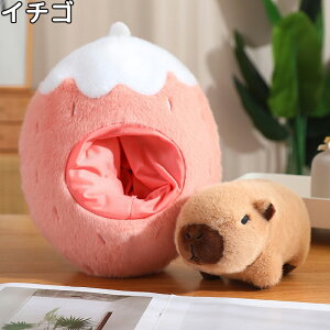 ʂ Jso   xbh ߋ ӂӂ  ̎q j̎q 킢 Mtg  t[c  jW C`S oii A{JhS-M