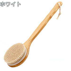 uV n Cp g̐􂢃uV O Sgp si p Ђt A ь VR  Ђ̂  wuV wjLr hV̓ ̓Mtg v[gp ɍ