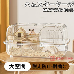 nX^[P[W 傫 nX^[nEX  P[W 炩 L ʋCQ gȒP  ^ 񂵎  ߋV[\ ^  ^ ^ |₷  