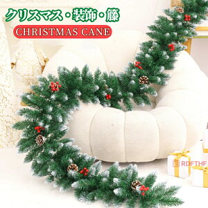 NX}X  NX}X[X 2.7m [ NX}Xc[   I[ig NX}XK[h NX}Xpi  hA  p[eB[ fނ̃NX}Xc[