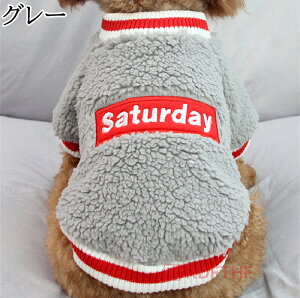  ~ ybgEGA ̗m hbON[Y  g 2ʂ gCv[h ` |jA 킢 g  hJ 3F 5TCY  [֑Ή