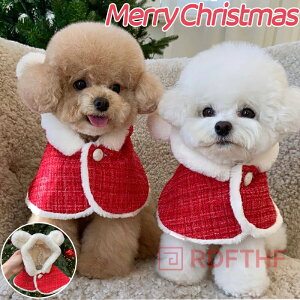 yP10{48H200~N[|zybgpi NX}X    ̕ ybgpnbg hbOEFA LbgEFA }g t[h NX}Xߑ lR L  Ck ^ ybgp nb