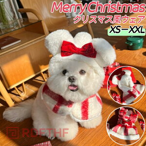 yP10{48H200~N[|zybgpi NX}X    ̕ ybgpnbg hbOEFA LbgEFA }g XJ[g t[h NX}Xߑ lR L  Ck ^ yb