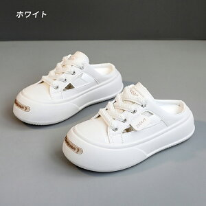 Xj[J[ ƂȂ  fB[X Xb| y ʋC EȒP Xj[J[ Xbp ₷ ϖՐ JWA T_ _炩 K ƂȂXj[J[  