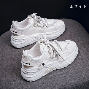 EH[LOV[Y jOV[Y fB[X Xj[J[ fB[XXj[J[ C ꂢ IV ₷ EH[LO V[Y X|[cV[Y