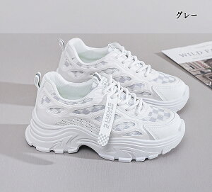 Xj[J[ EH[LOV[Y jOV[Y Xj[J[ fB[X Xj[J[ fB[XXj[J[ C ꂢ IV ₷ EH[LO V[Y X|[cV[Y