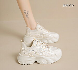 Xj[J[ EH[LOV[Y jOV[Y Xj[J[ fB[X Xj[J[ fB[XXj[J[ C ꂢ IV ₷ EH[LO V[Y X|[cV[Y