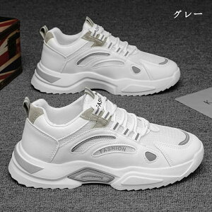 Xj[J[ Y  bV EH[LOV[Y C ₷ _炩 V[Y X|[cV[Y JWA EH[LO ʋ ʊw ʋC ^C ɂ y