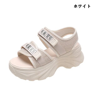  T_ fB[X y r[` T_ Xbp _炩 Ȃ C r g ~ Vv  ₷ RtH[gT_ q[ ₷