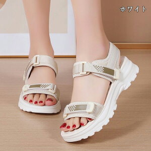  T_ fB[X y T_ _炩 Ȃ C r g ~ Vv ₷ ₷ RtH[gT_ 