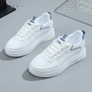 Xj[J[ gLт EH[LOV[Y jOV[Y Xj[J[ fB[X Xj[J[ fB[XXj[J[ C ꂢ IV ₷ EH[LO V[Y X